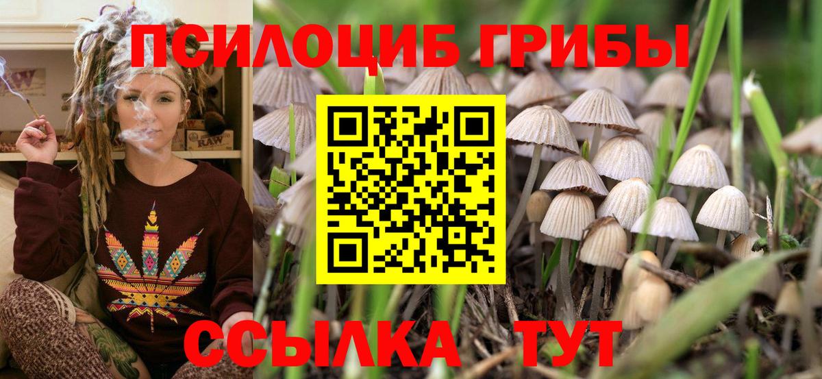 Галлюциногенные грибы Magic Shrooms  Галлюциногенные грибы MAGIC MUSHROOMS  Туймазы  Вход с VPN 